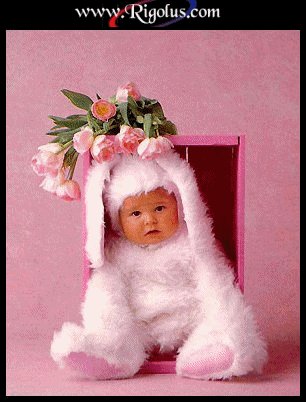 QUI A VU LE PETIT LAPIN rose!!!
